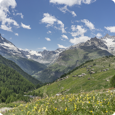 Nature & Adventure Alps 1h away | Swiss cities nearby